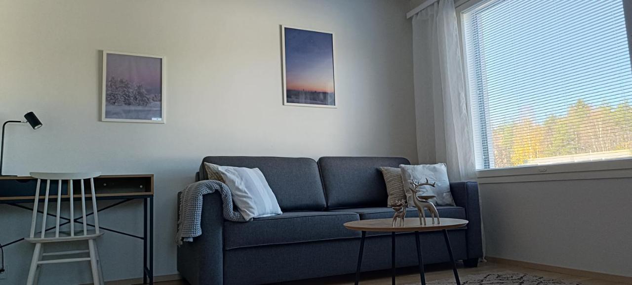 Kodikas Huoneisto, Oma Sauna, Ilmainen Pysaekoeinti Rovaniemi Luaran gambar